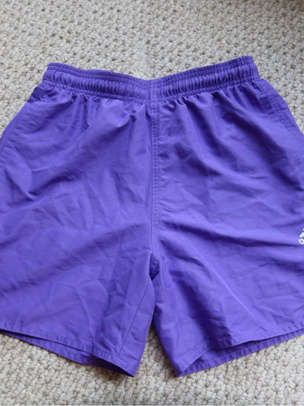 adidas Men's Violet Training Shorts